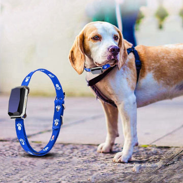 GPS Tracking Collar – Keep Your Pet Safe & Close!