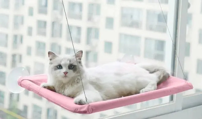 Hanging Cat Window Hammock – Relaxing Spot for Your Kitty