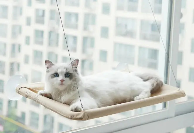 Hanging Cat Window Hammock – Relaxing Spot for Your Kitty