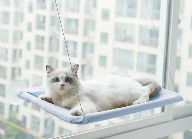 Hanging Cat Window Hammock – Relaxing Spot for Your Kitty
