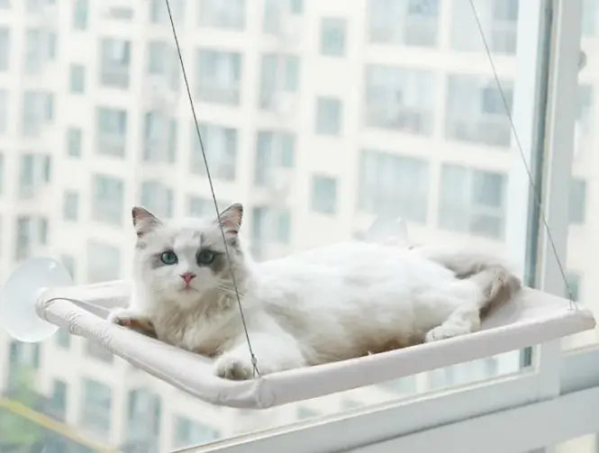 Hanging Cat Window Hammock – Relaxing Spot for Your Kitty