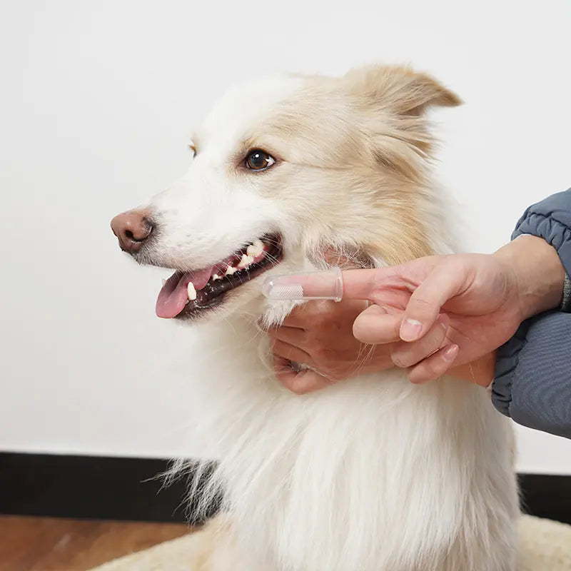 4pcs Easy Finger Toothbrush – Keep Your Pet’s Teeth Fresh