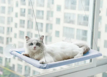 Hanging Cat Window Hammock – Relaxing Spot for Your Kitty
