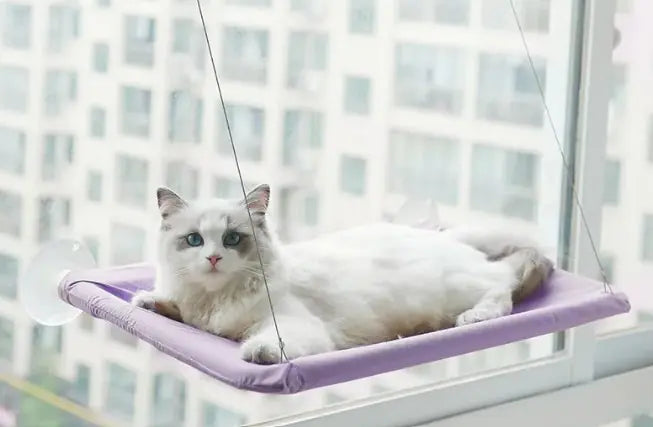 Hanging Cat Window Hammock – Relaxing Spot for Your Kitty