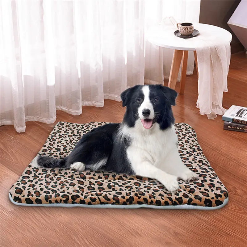 Thick Coral Fleece Pet Blanket and Dog Bed Mat