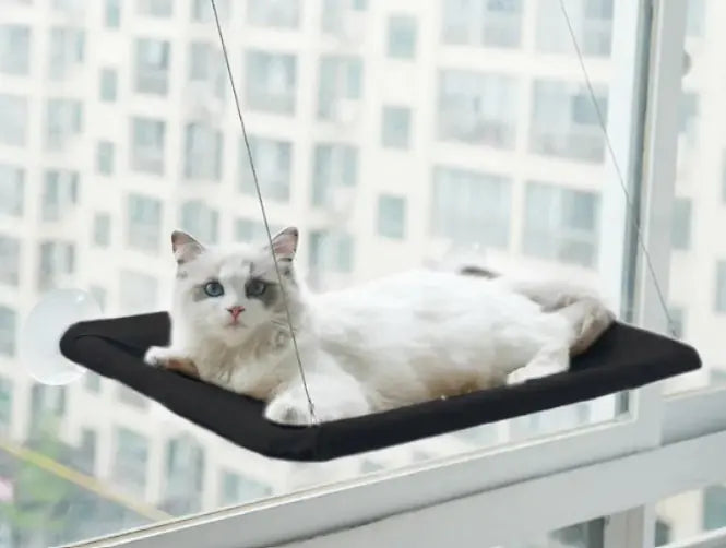 Hanging Cat Window Hammock – Relaxing Spot for Your Kitty